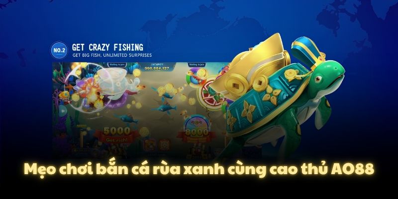 Mẹo chơi bắn cá rùa xanh cùng cao thủ AO88
