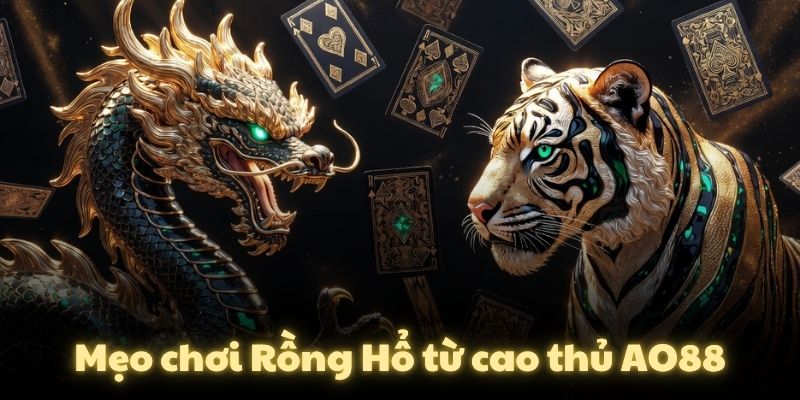 Mẹo chơi Rồng Hổ từ cao thủ AO88